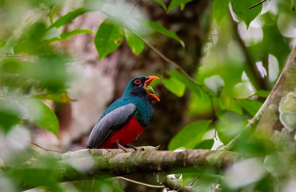 Discover Guatemala - Exodus Adventure Travels - Guatemala - Image 9