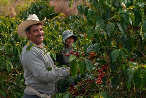 Antigua Explorer Tour: Discover Guatemala, Honduras & El Salvador