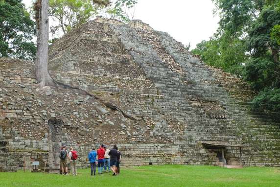 Image 2 of 20