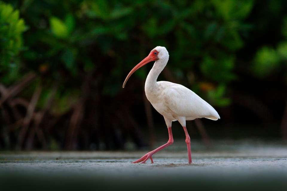 Discover Guatemala, Honduras & El Salvador - Intrepid Travel - Guatemala - Image 3