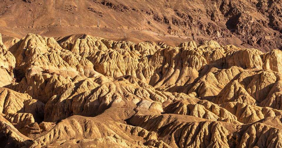 Discover India's Little Tibet and Nubra Valley - Explore - India - Image 8