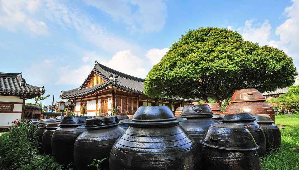 Discover Korea Palaces, DMZ, and Temples - 7 days - On The Go Tours - South Korea