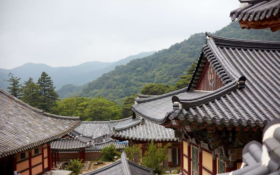 Discover Korea Palaces, DMZ, and Temples - 7 days - On The Go Tours - South Korea