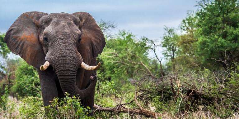 Windhoek Wildlife Tour: Journeys: Discover Kruger & Namibia