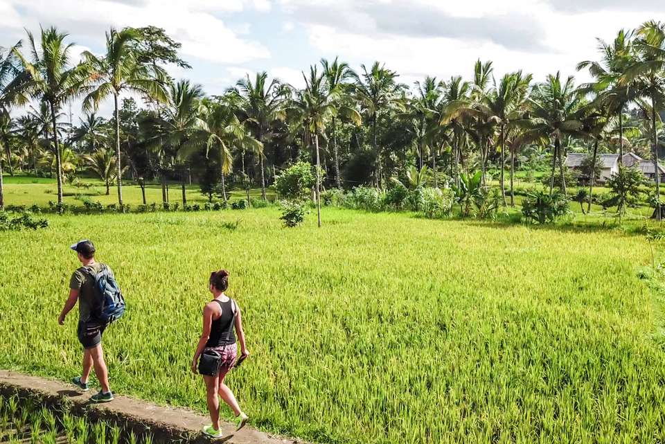Discover Lombok - Intrepid Travel - Indonesia - Image 10