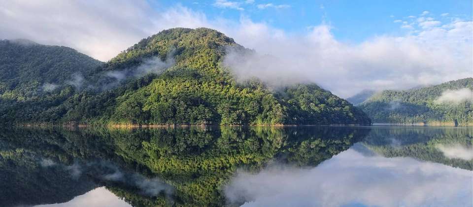 Discover Marlborough Sounds - undefined - Image 1