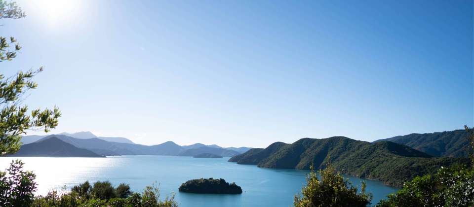 Discover Marlborough Sounds - undefined - Image 3