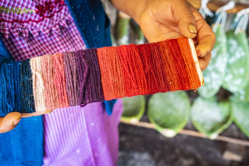 Discover Mexico - Day of the Dead (Oaxaca) - Exodus Adventure Travels - Mexico