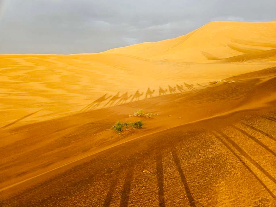 Discover Morocco - Exodus Adventure Travels - Morocco - Image 17