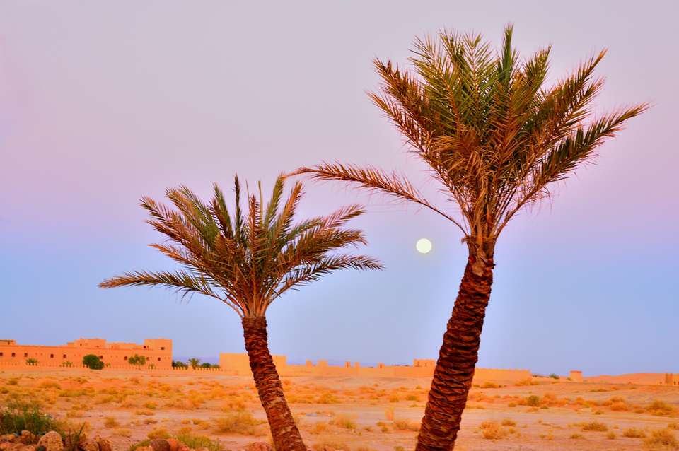 Discover Morocco - Exodus Adventure Travels - Morocco - Image 4