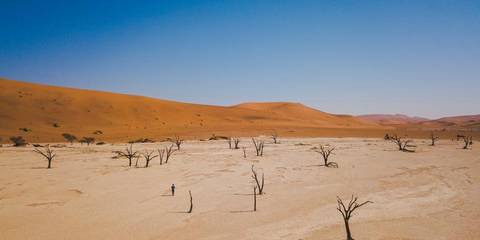 Africa Wildlife Safaris And Game Drives Tour: Journeys: Discover Namibia & Victoria Falls