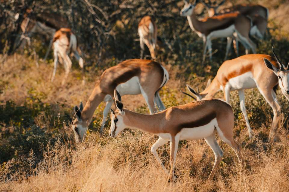 Discover Namibia - Camping - Exodus Adventure Travels - Namibia - Image 12