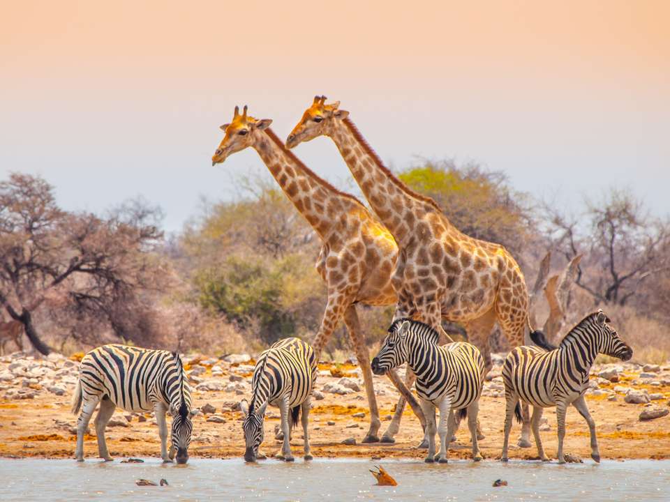 Discover Namibia - Camping - Exodus Adventure Travels - Namibia - Image 5