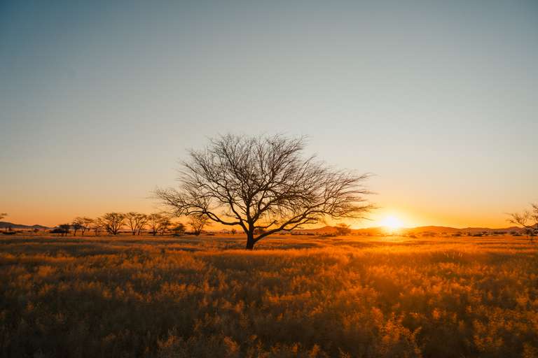 Discover Namibia - Lodges - October 2027