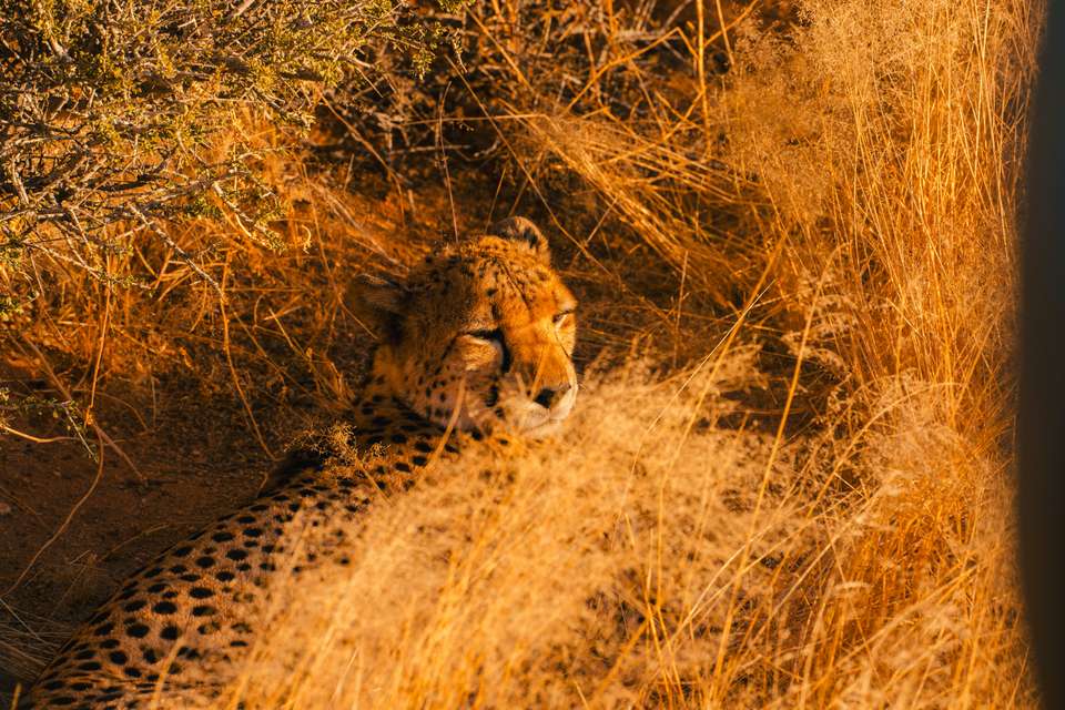 Discover Namibia - Lodges - Exodus Adventure Travels - Namibia - Image 9