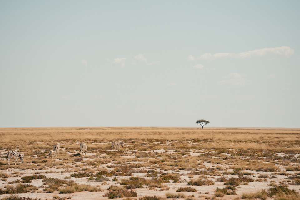 Discover Namibia - Lodges - Exodus Adventure Travels - Namibia - Image 8