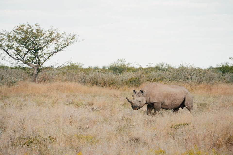 Discover Namibia - Lodges - Exodus Adventure Travels - Namibia - Image 5