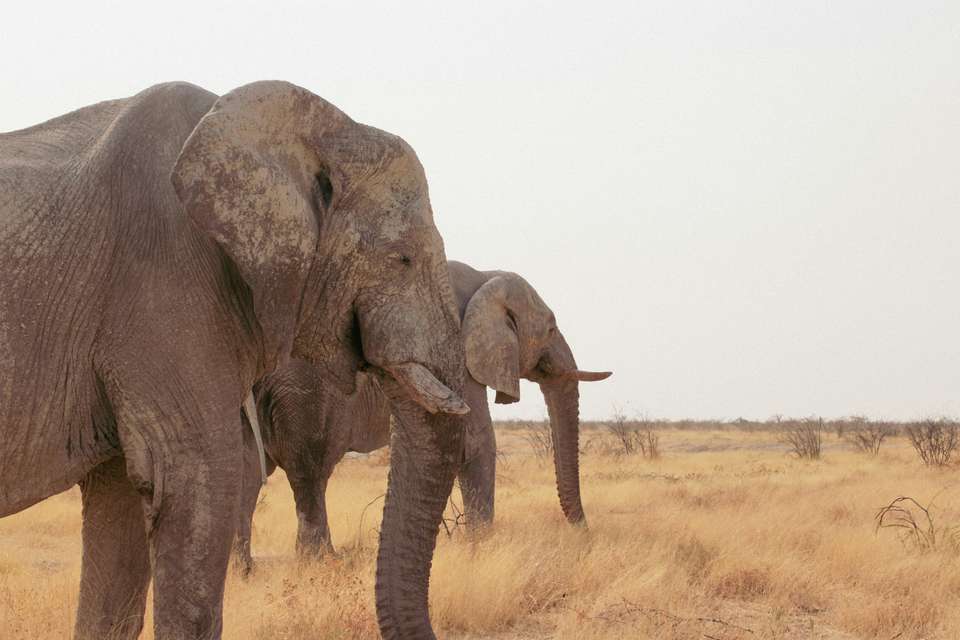 Discover Namibia In Style - Exodus Adventure Travels - Namibia - Image 19
