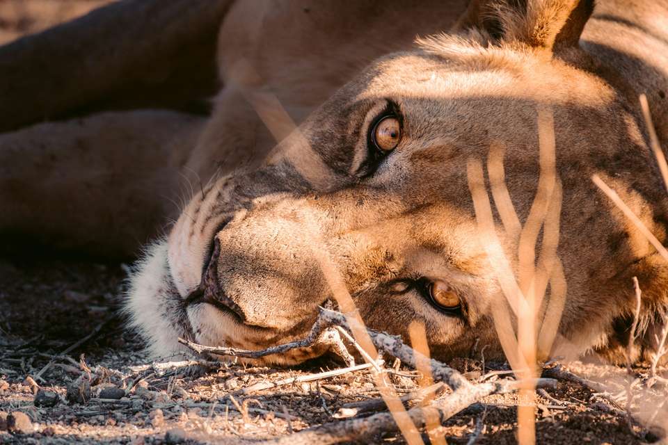Discover Namibia In Style - Exodus Adventure Travels - Namibia - Image 9