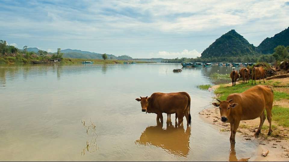 Discover Nha Trang Rural full Day - undefined - Image 2