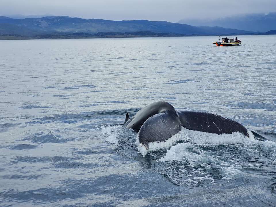 Discover Patagonia - Exodus Adventure Travels - Argentina - Image 21
