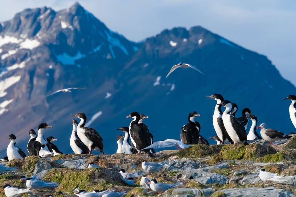 Discover Patagonia - Exodus Adventure Travels - Argentina - Image 10