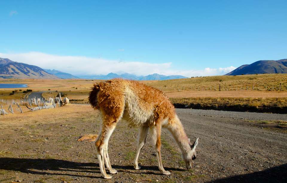 Discover Patagonia - Exodus Adventure Travels - Argentina - Image 7