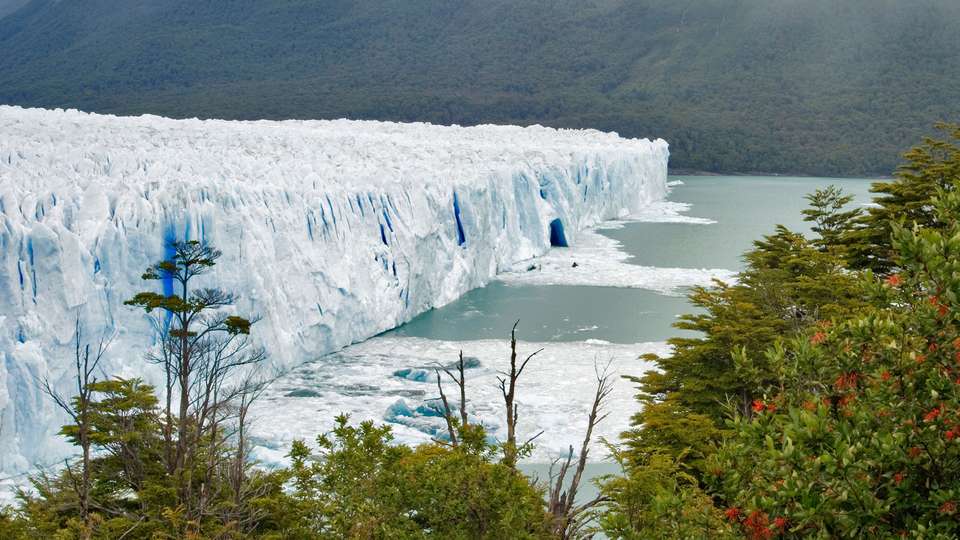 Journeys: Discover Patagonia - G Adventures - Argentina - Image 3