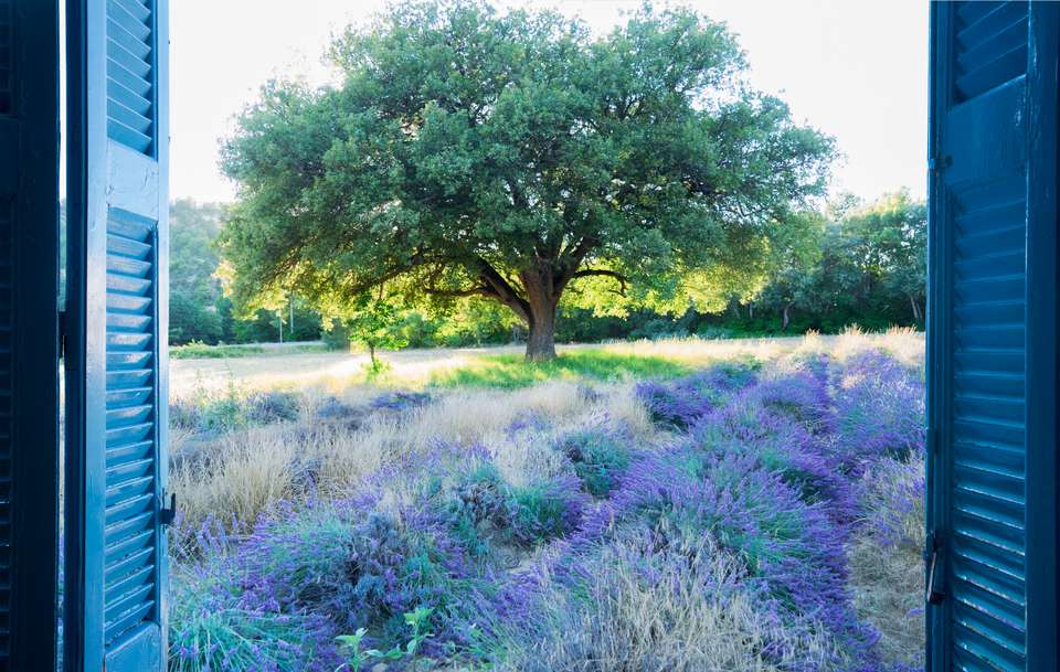 Discover Provence - Exodus Adventure Travels - France - Image 14