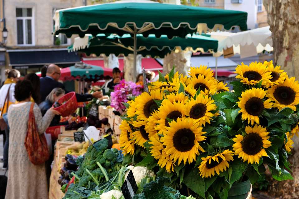 Discover Provence - Exodus Adventure Travels - France - Image 6
