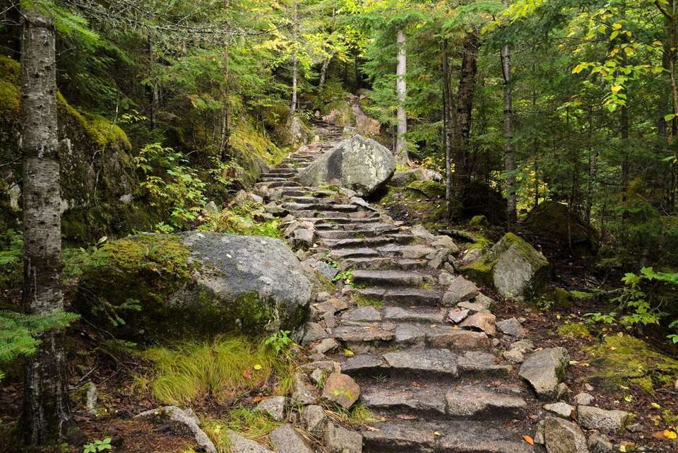 Discover Quebec - Intrepid Travel - Canada - Image 3