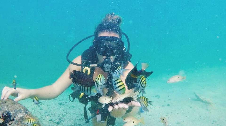 Discover Scuba Diving in Dubai - Nemo Diving Center - UAE - Image 3