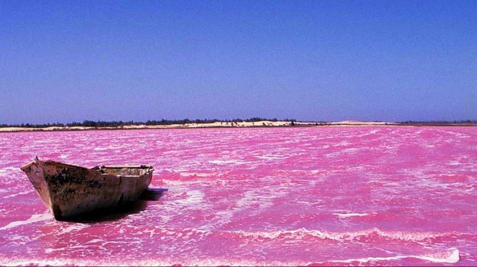 Discover Senegal in 7 Days - Continent Tours Ltd - Senegal - Image 5