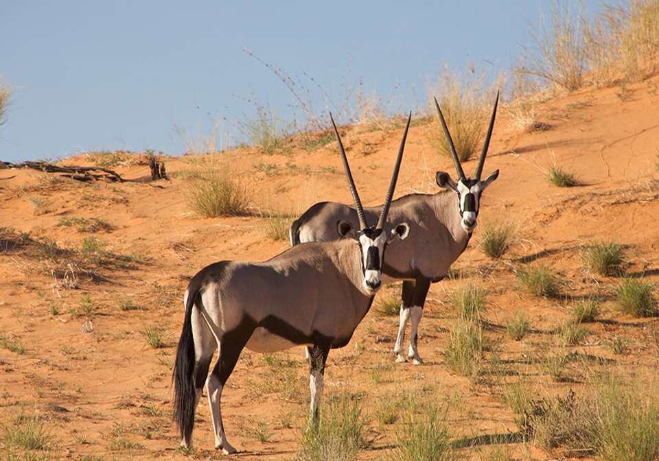 Discover South Africa and Victoria Falls - Indus Travels - South Africa - Image 2