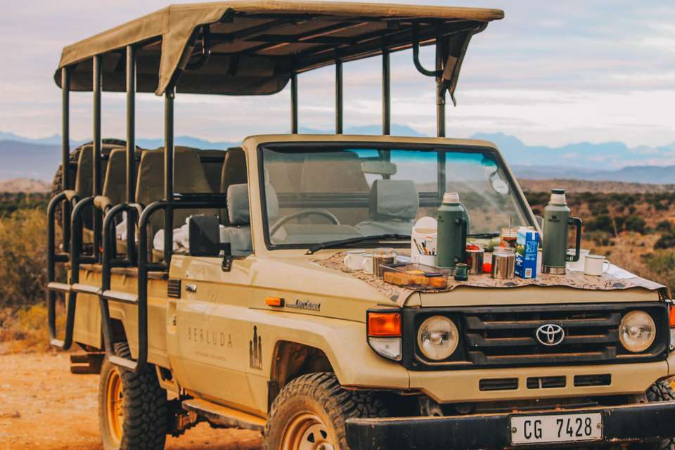 Discover South Africa's Garden Route - undefined - Image 13
