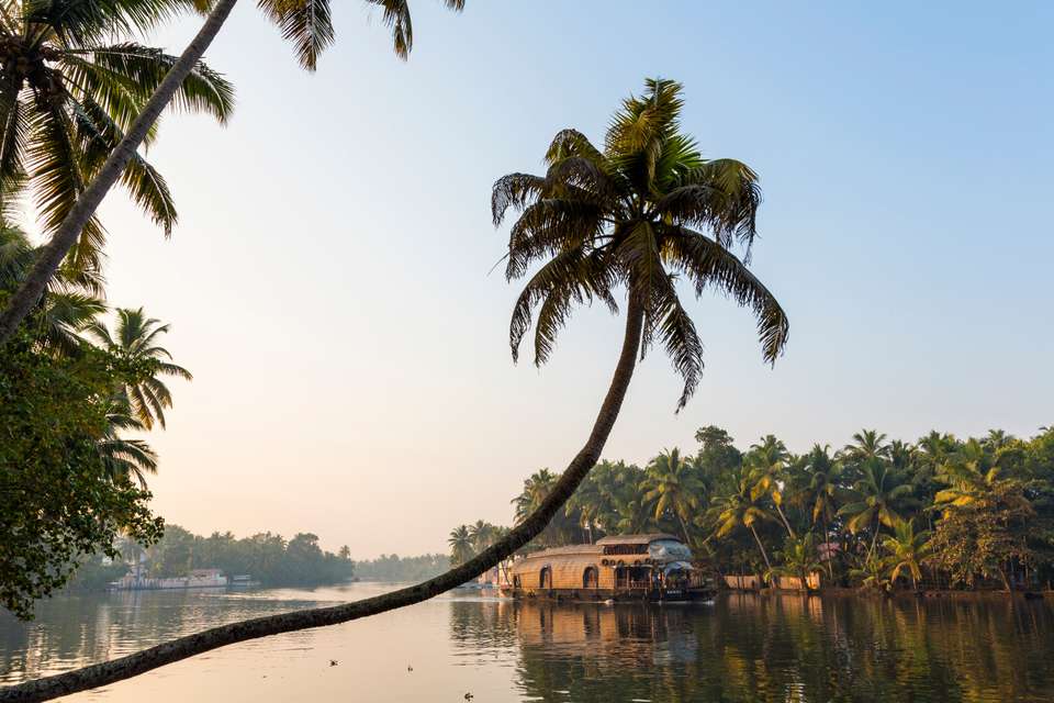 Discover South India - Premium Adventure - Exodus Adventure Travels - India - Image 24