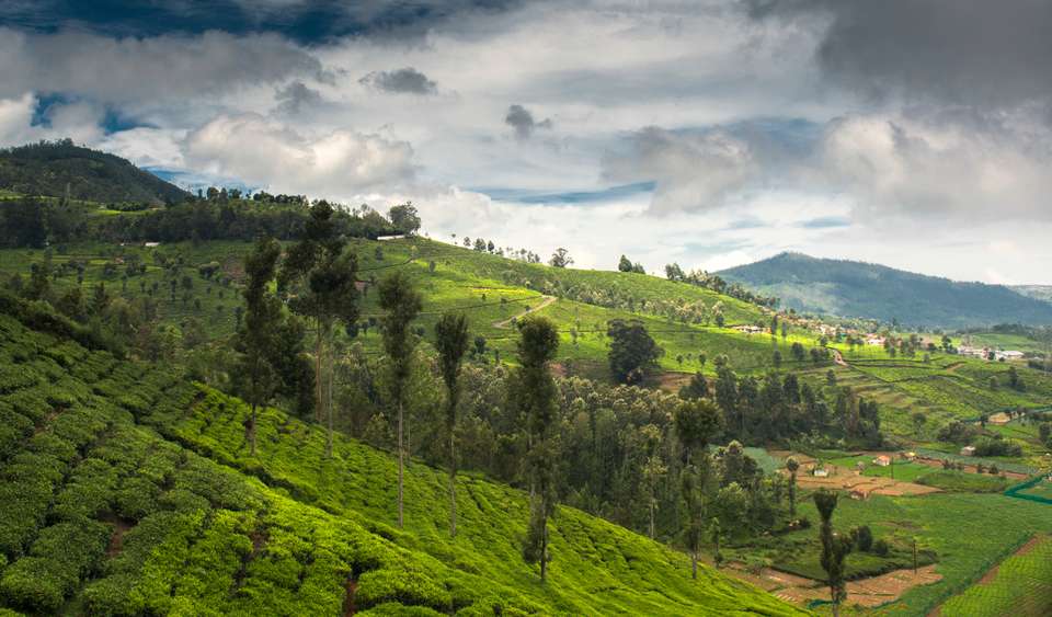 Discover South India - Premium Adventure - Exodus Adventure Travels - India - Image 22