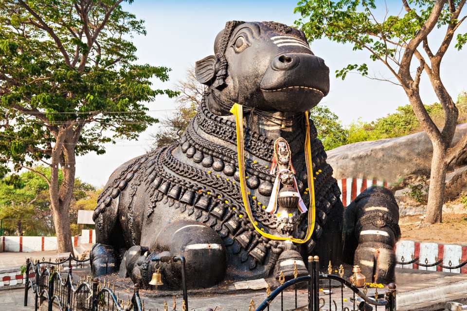 Discover South India - Premium Adventure - Exodus Adventure Travels - India - Image 14