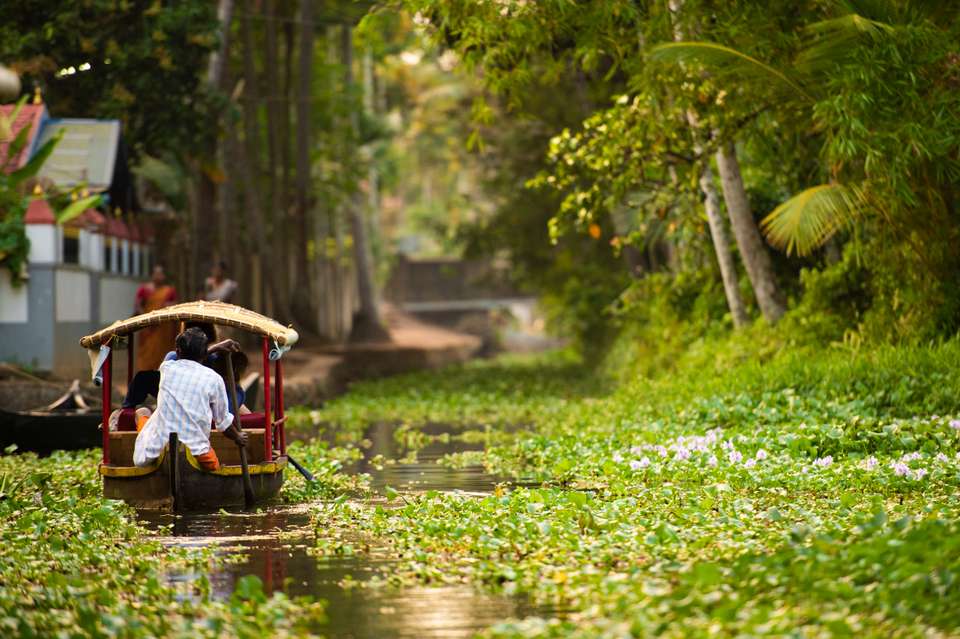 Discover South India - Premium Adventure - Exodus Adventure Travels - India - Image 12