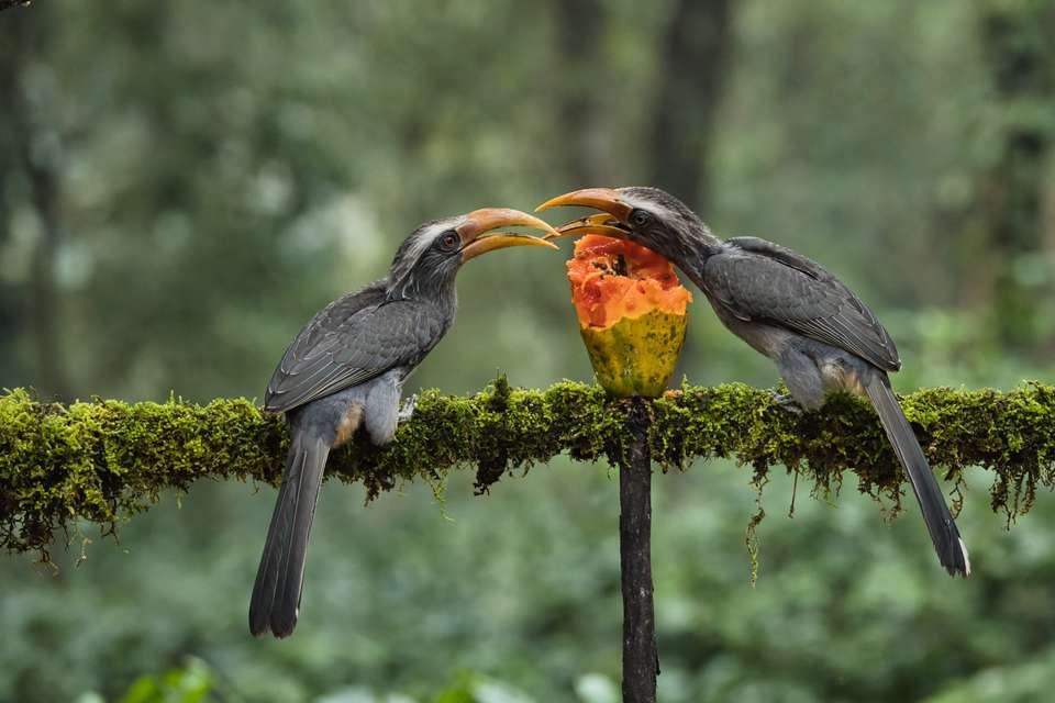 Discover South India - Premium Adventure - Exodus Adventure Travels - India - Image 10