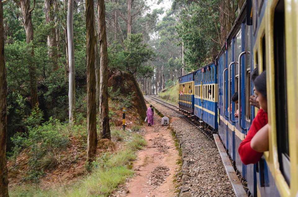 Discover South India - Premium Adventure - Exodus Adventure Travels - India - Image 6
