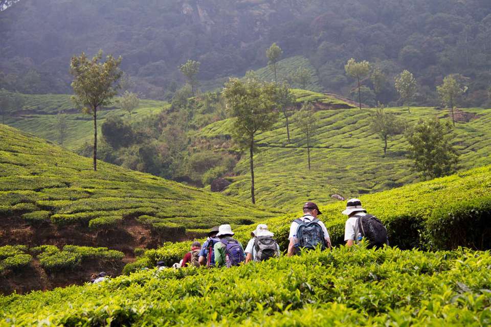 Discover South India - Premium Adventure - Exodus Adventure Travels - India - Image 4