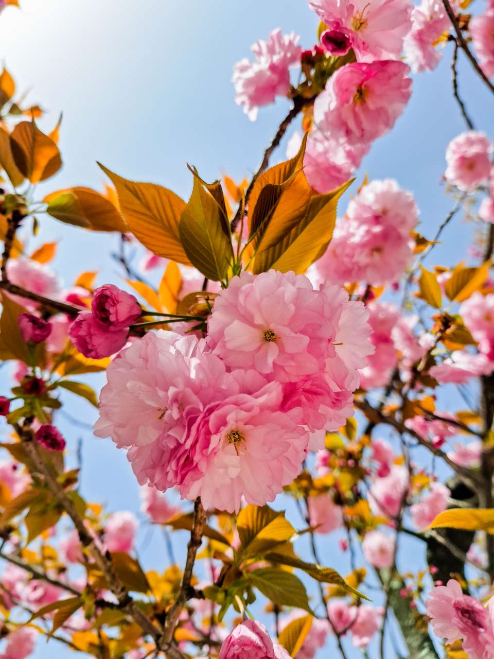 Discover South Korea - Exodus Adventure Travels - South Korea - Image 22
