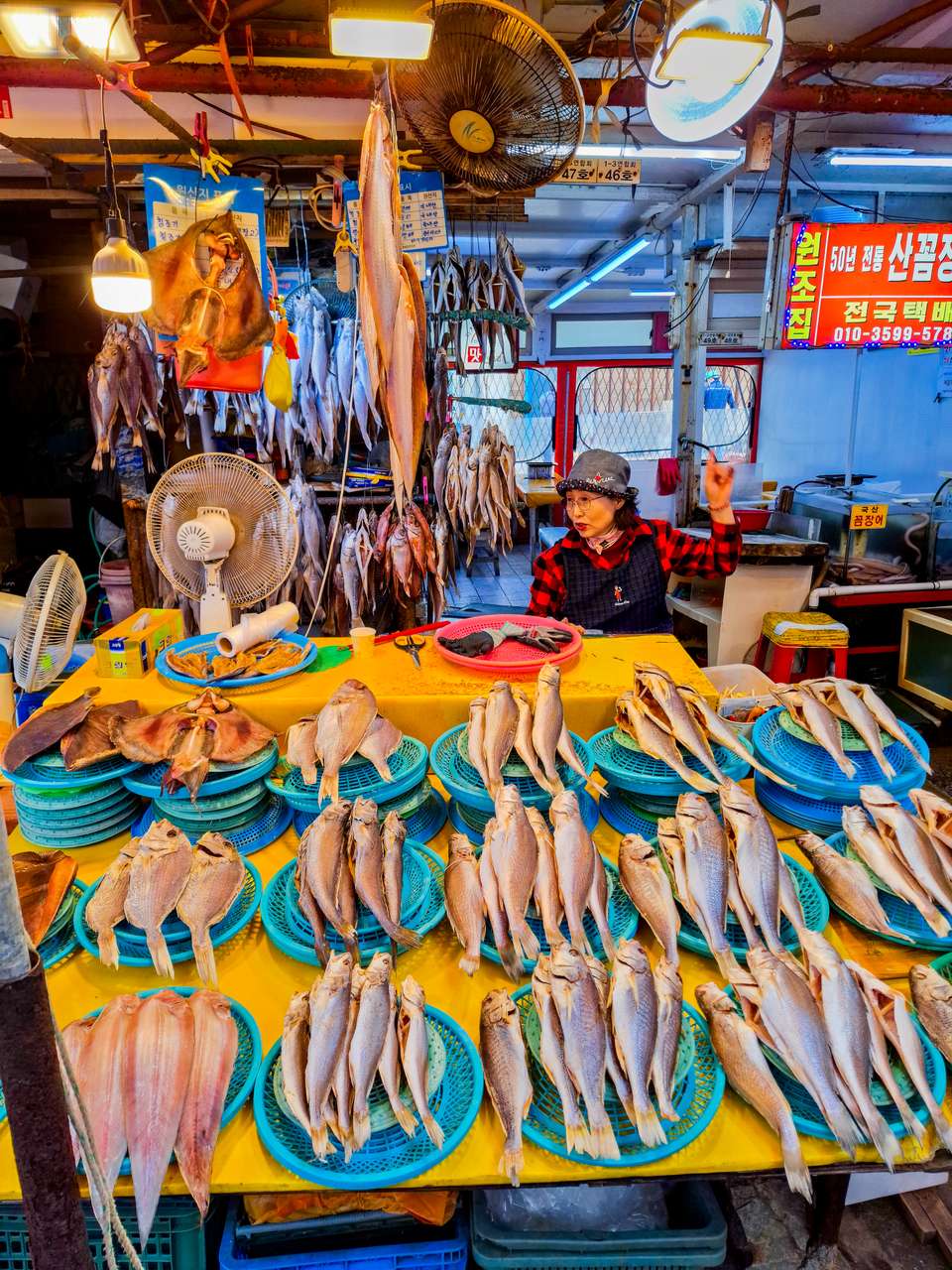 Discover South Korea - Exodus Adventure Travels - South Korea - Image 20