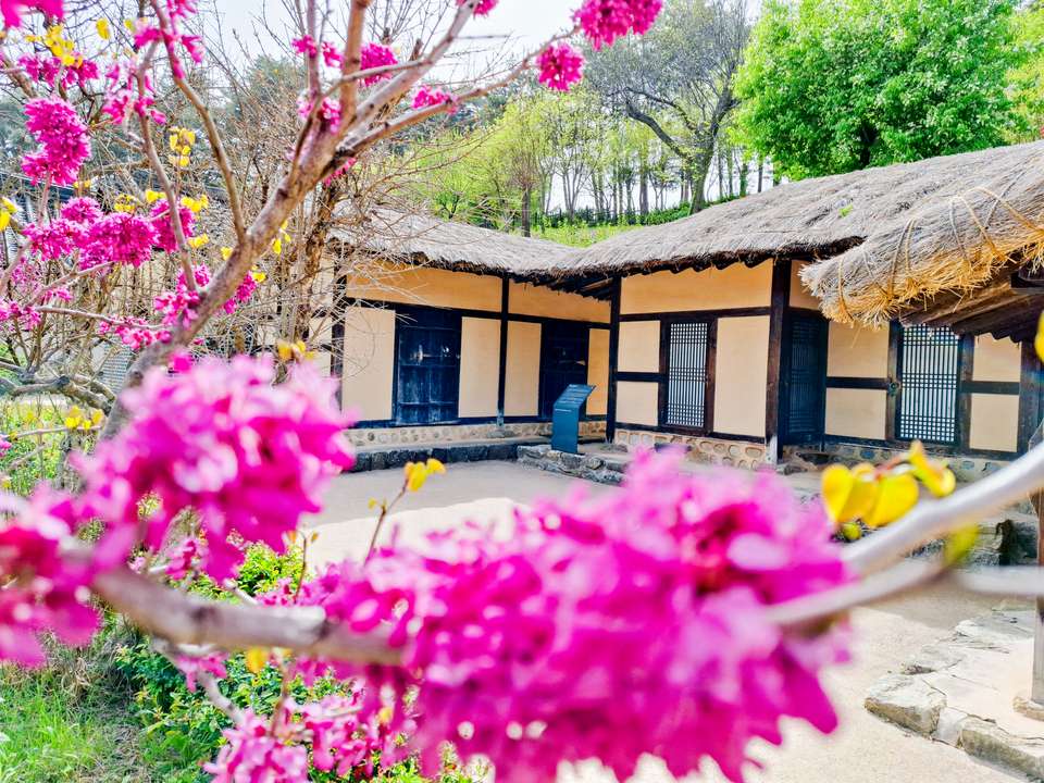 Discover South Korea - Exodus Adventure Travels - South Korea - Image 17