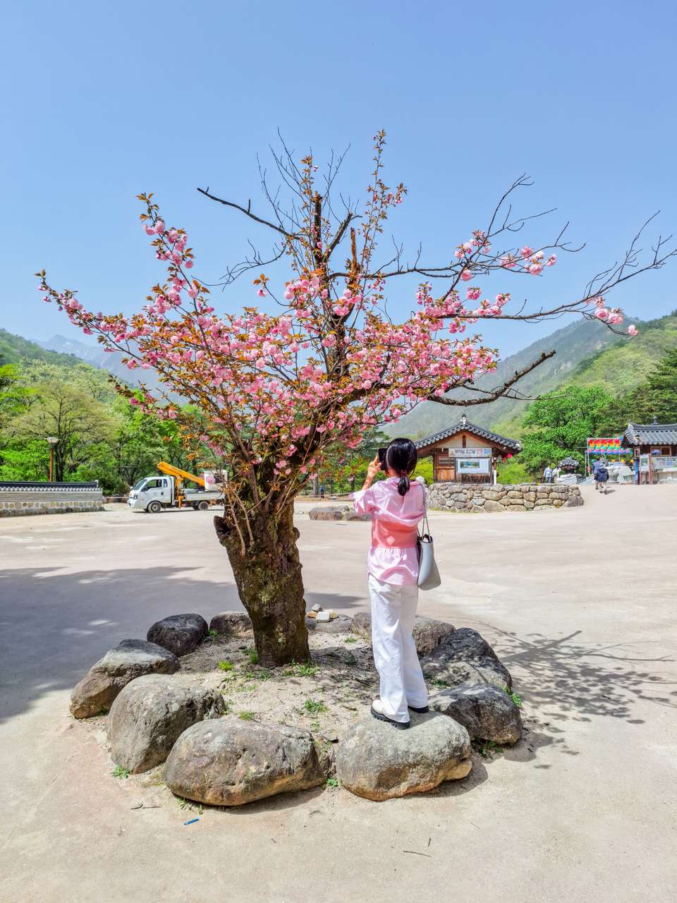 Discover South Korea - Exodus Adventure Travels - South Korea - Image 13