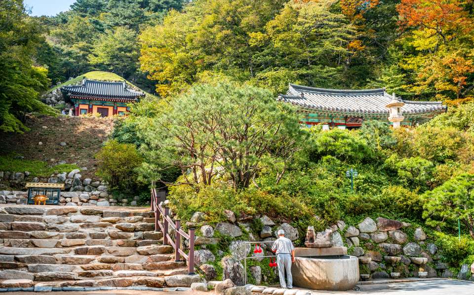 Discover South Korea - Exodus Adventure Travels - South Korea - Image 8