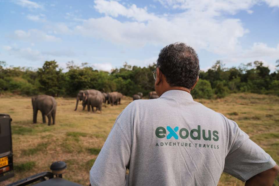 Discover Sri Lanka - Exodus Adventure Travels - Sri Lanka - Image 1