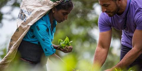 Farm And Plantation Visits Tour: Journeys: Discover Sri Lanka