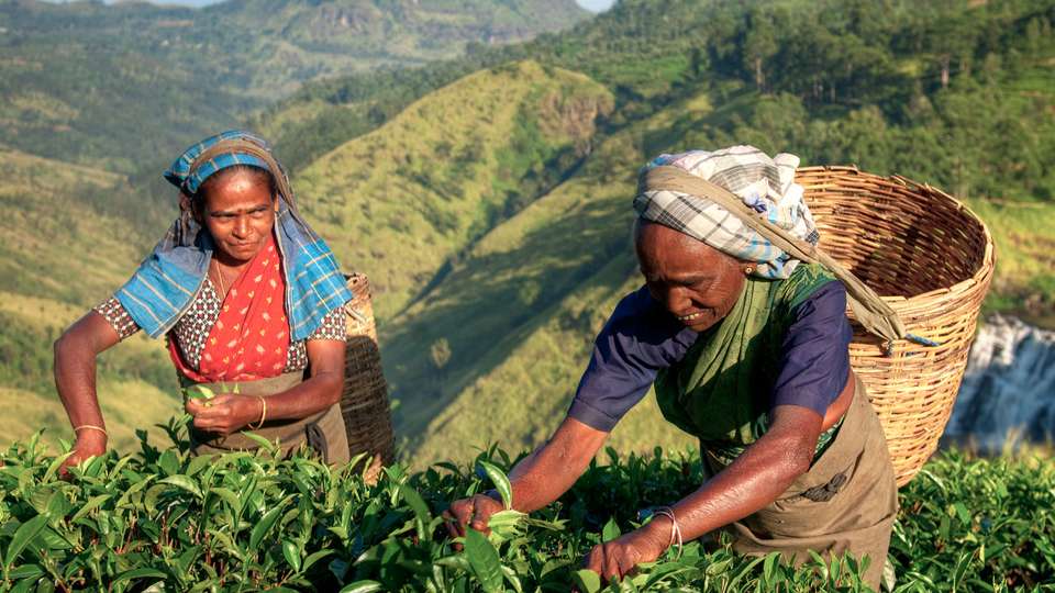 Journeys: Discover Sri Lanka - G Adventures - Sri Lanka